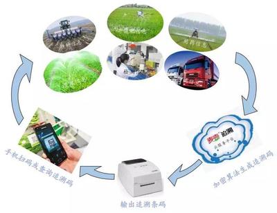 數字化時代下，生鮮配送企業食品安全風險管控與互聯網安全服務融合策略